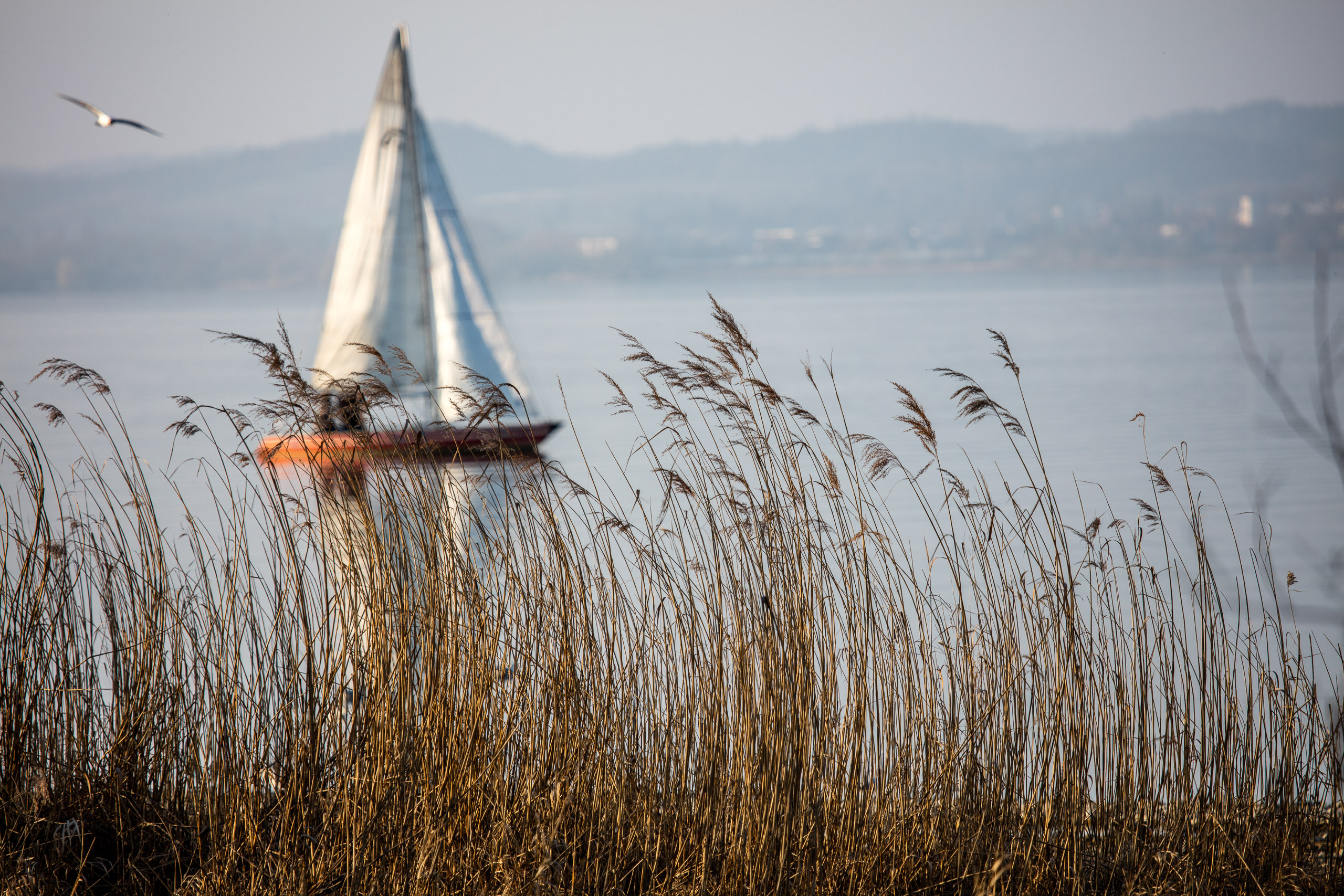 20160319172927 DP017780